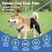 Nylvian Dog Knee Brace for Torn Acl Hind Leg - Adjustable Stabilizing Support for Ccl Injury, Luxating Patella, Hind Leg Pain & Arthritis - Rear Leg Limp Support (XXXL)