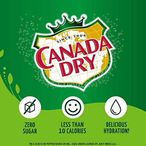 Canada Dry Powder Drink Mix – Ginger Flavor, Sugar Free & Delicious (Variety, 30 Sticks) #TOP3