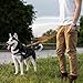 Wisedog 3m Orange doppelendige gummierte Hundeleine Leichtgewichtige Hands Free Leine für Hund rutschfeste Hands Free Hundeleine Fit für Spaziergänge Laufen Camping