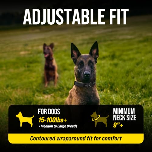 Image of Dogtra ARC-X E-Collar for Dog Training - 3 /4 Mile Range, for Dogs 15 lbs+, Slim Design, IPX9K Waterproof, 100 Stimulation Levels, Vibration, Tone, Rechargeable - Dog Owners and Professional Trainers
