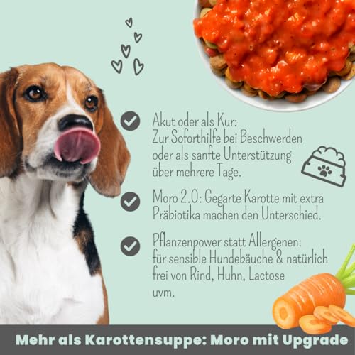 noms+ Präbio Belly Akut Topping für Hunde | 6X 200g | Pflanzliche Schonkost bei Magen-Darm-Beschwerden | mit Karotte nach Moro-Art | Präbiotika für eine gesunde Darmflora - Ready to eat