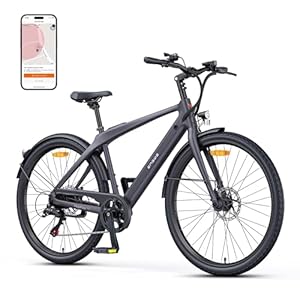 ENGWE Elektrische fiets voor heren met 36 V 10 Ah accu, elektrische fiets met koppelondersteuning, 7 versnellingen met app en bluetooth, interne rotormotor tot 100 km