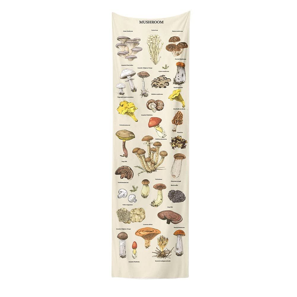 Danlai Mushroom Tapestry Background Tapestry Vertical Tapestry Illustration Reference Chart Tapestry Wall Hanging for Room