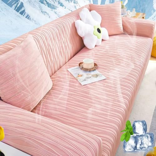 NEKOHASHI ⊴\t@Jo[ 3l| It \t@[Jo[ Ђ ڐG⊴f  n k Lk Xgb` tBbg^Cv ce ~ Ȃ z  L  h~ یJo[ @\  NbVJo