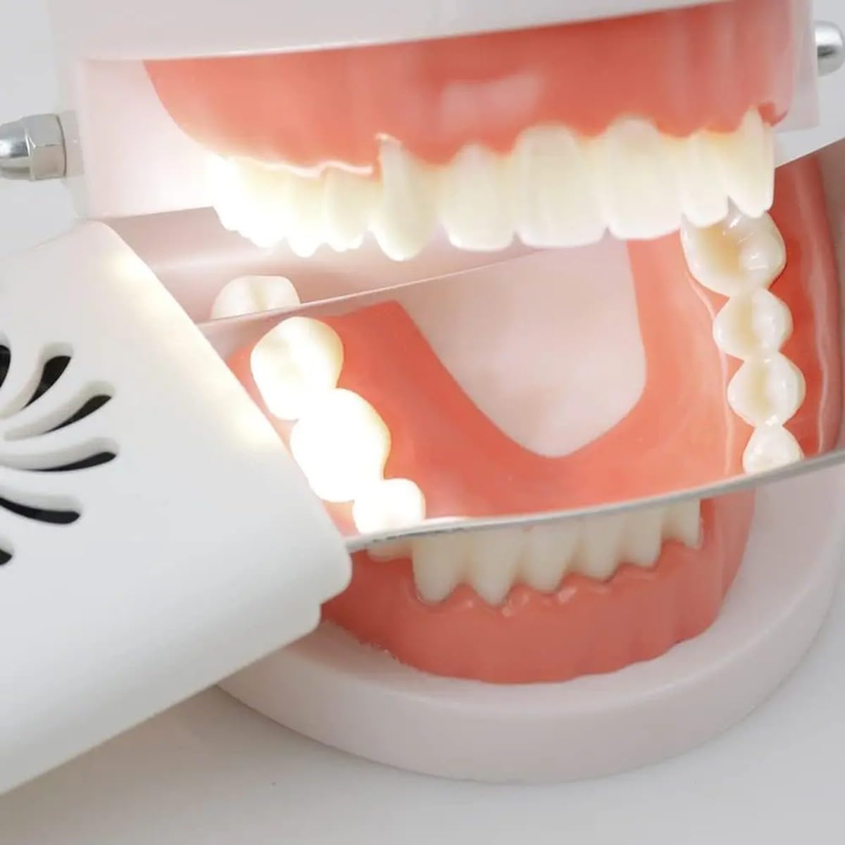 Juego de Espejos Dentales Antiniebla con Luz LED, Acero Inoxidable, Ortodoncia