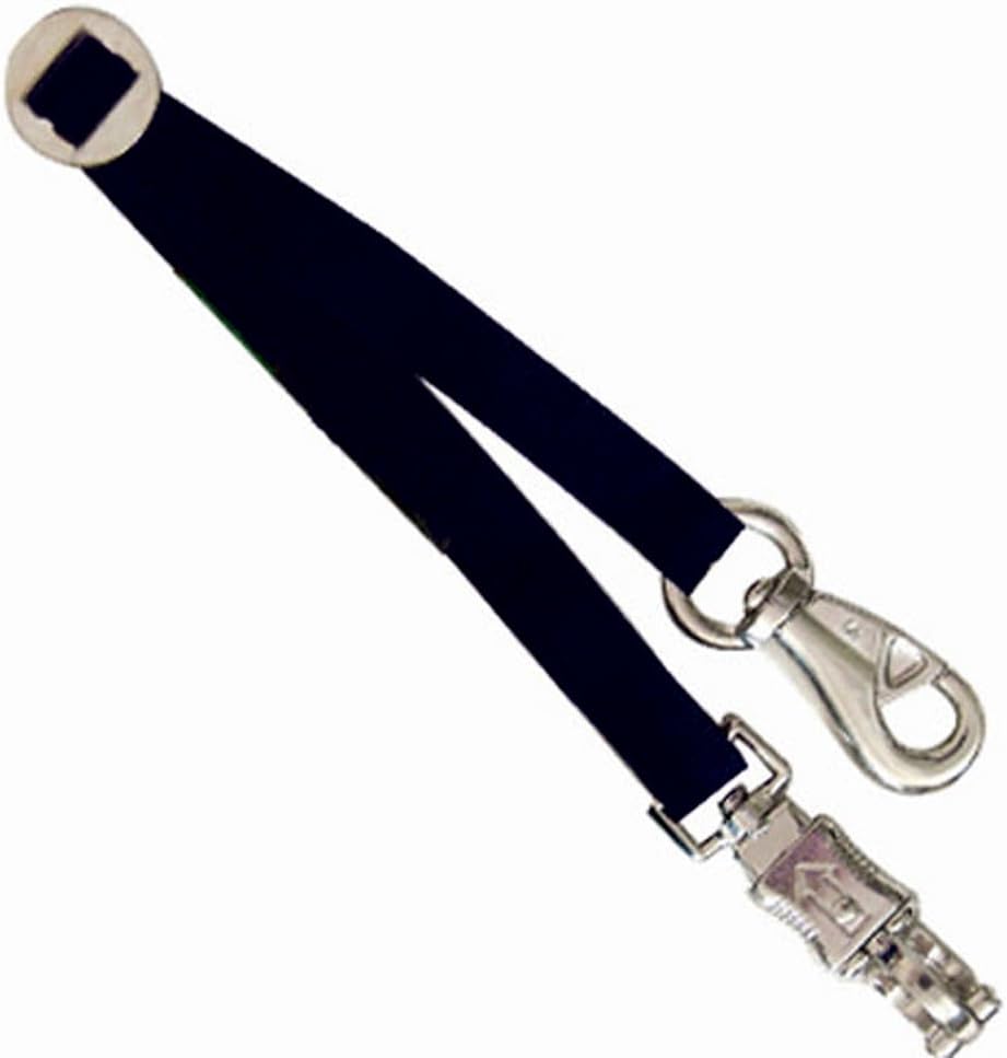 Trailer Tie for Horse Hauling