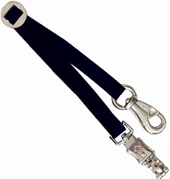 Intrepid International Trailer Tie for Horse Hauling