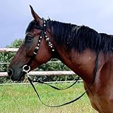 Zoom IMG-1 testata di cavallo imbracatura da Zoom IMG-1 testata di cavallo imbracatura da