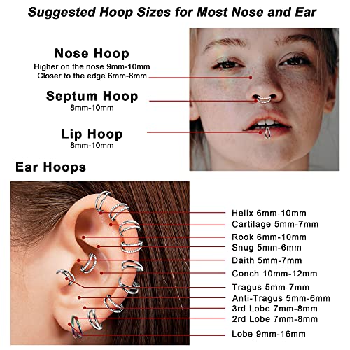 Dochais 2PCS Nose Rings, Titanium Earrings Tragus Septum Piercing CZ Clicker Septum Ring Hinged Segment Septum Conch Lip G23 Titanium Double Hoops 16G 18G Nose Rings for Women Men