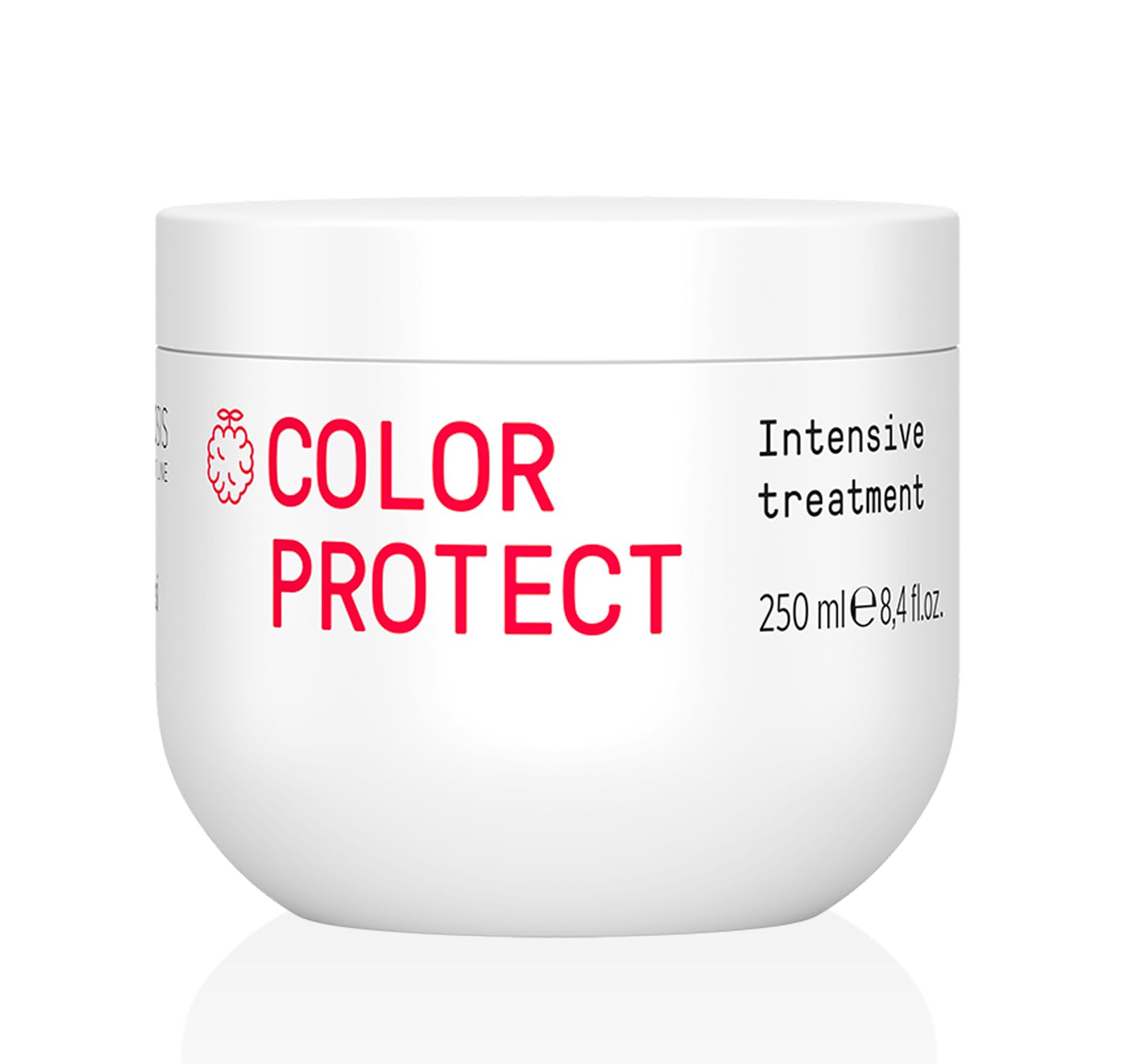 FRAMESI Morphosis Color Protect Intensive Hair Treatment 8.4 fl oz