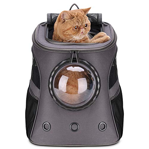 fat cat backpack carrier