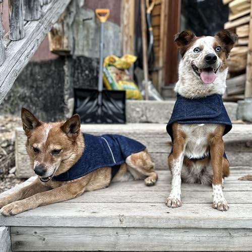 Carhartt Firm Duck Isolierter Hundemantel, Denim, Größe M