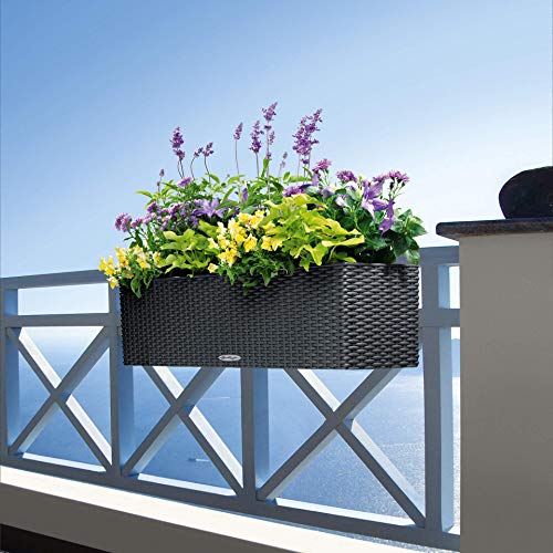 Lechuza 15610 Balconera Cottage 80 Garden Indoor And Outdoor Use, White, 32" Self Watering Planter #TOP6