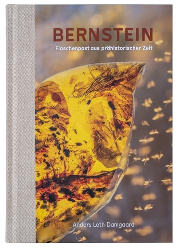 Bernstein - Flaschenpost aus prähistorischer zeit