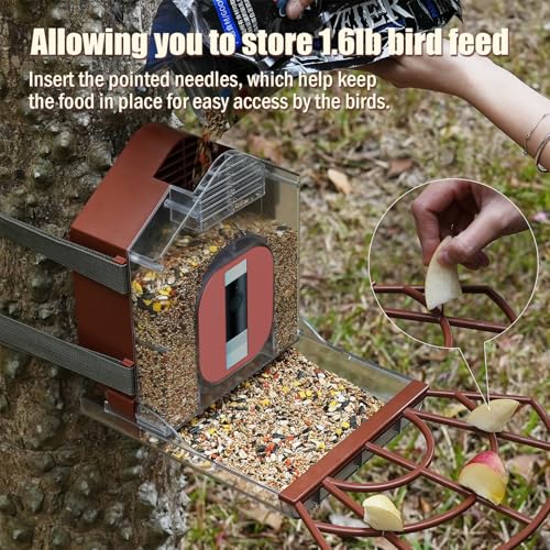 Proveedor de pájaros impermeable que soluciona la humedad con su efluente avanzado 6