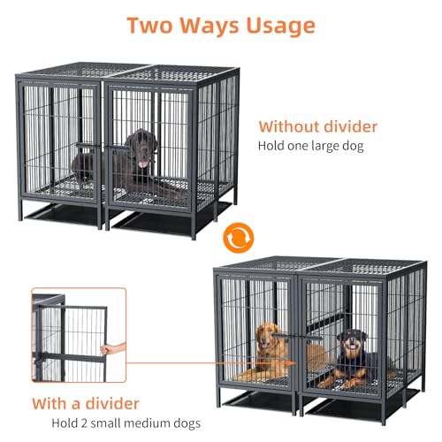 BingoPaw Hundekäfig XXXL Schwerlast Hundebox: 2 in 1 Doppelbox Hundegitterbox mit Trennwand, 2 Türen und Tablett, Haustierkäfig Outdoor Indoor für große mittelgrosse Hunde 130x100x100 cm