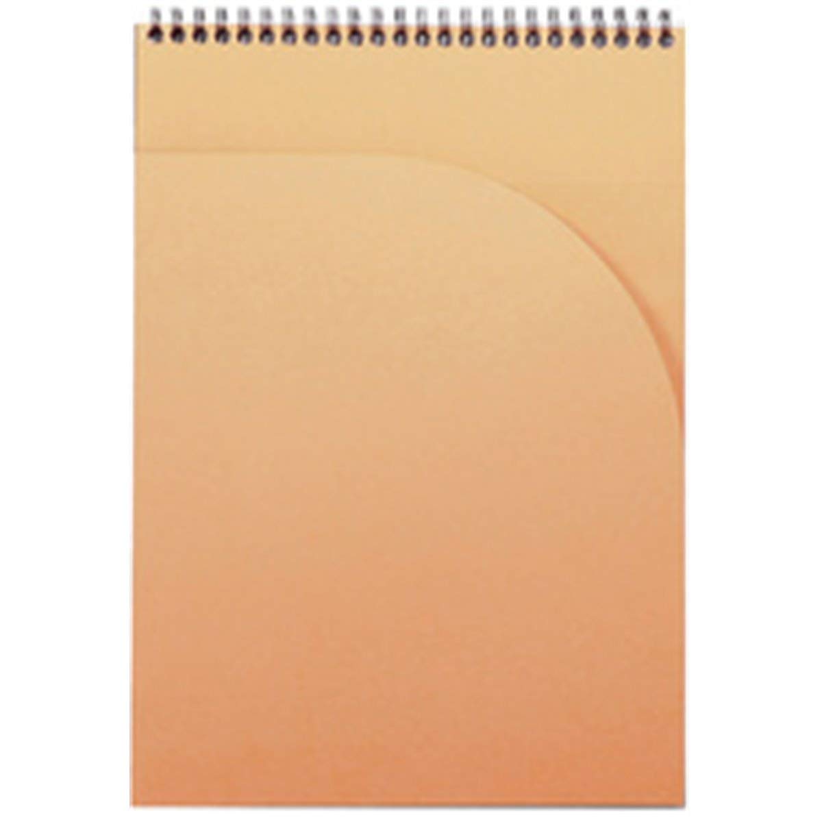 Rhodia Bloc-Notes A4 21 x 29,7 cm 80 Feuilles Petits Carreaux Papier Clairefontaine 90 g/m² Couverture Polypro Recyclée Noir
