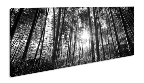 Bosque de bambú – Rayos de sol bailando en verde eterno, panorámica, 80 x 40 cm, efecto: negro y blanco, XXL, impresión artística sobre marco de madera/lienzo/mural/decoración de salón