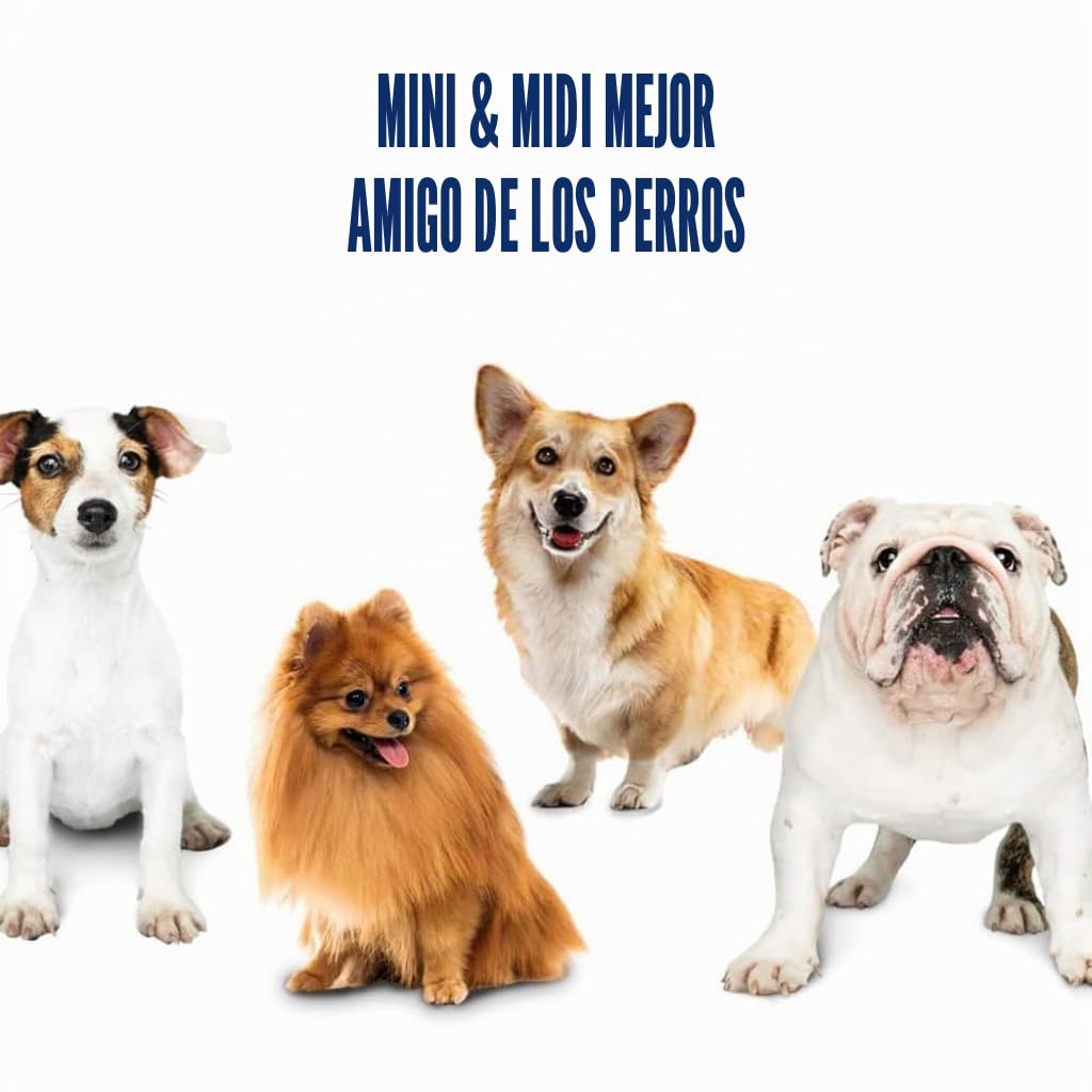 BOT Lanzador de Pelotas Automático Ifetch Mini para Perros Pequeños y Cachorros - Juguete Interactivo Con 3 Pelotas (Mini 3x5cm)