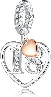 Number Dangle 10,16,18,20,21,30,40,50,60 Years of Love Cubic Zirconia Charm in 925 Sterling Silver,Number pendant with Rose Gold Heart,Anniversary Celebration Dangle Lucky Charm Birthday Charms fit Fashion Pandora Style Bracelet (18)