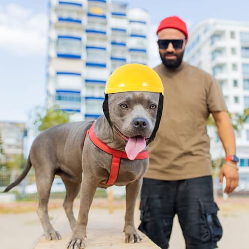 Haustier Lustiger Hut Hund Sicherheitshut Hündchen Kätzchen Helm Kleiner Hundehelm Hund Schutzhelm Helm Für Hunde Helm Der Französischen Bulldogge Urlaub Abs Kopfbedeckung