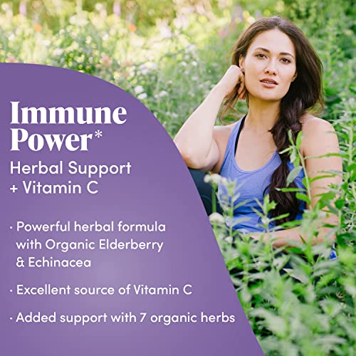 Zand Immunity Elderberry Vitamin C Lozenges, Immune Support Soothing Throat Drops, Elderberry, Vitamin C, Echinacea Extract, No Cane Sugar Or Corn Syrup, Gluten Free, Non-Gmo (12 Bags, 18 Lozenges) #TOP3