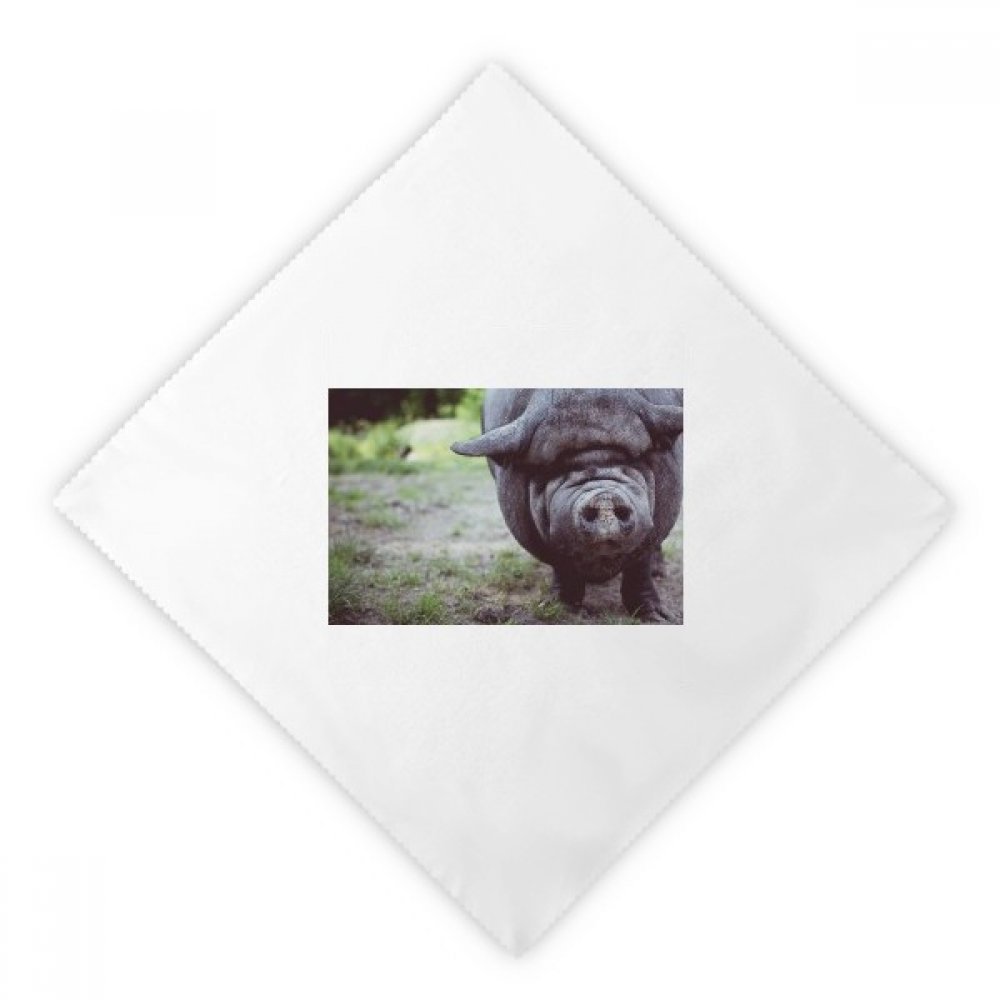 Serviettes en tissu lavables 47cm motif animal sauvage x2