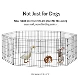 New World Folding Metal Dog Exercise Pen and Pet Playpen with No Door, Includes Grounding Stakes and Provides 1.5 Meters of Play Space, 76cm Tall, Black E-Coated - Image 6