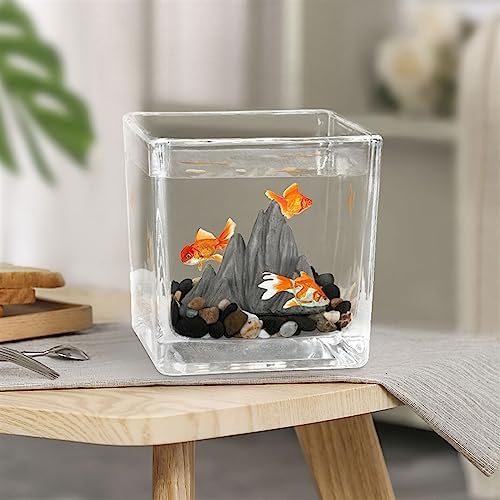 Small Square Fish Bowl Aquarium - Desktop Eco-Friendly Micro Landscape for Office & Guest Room Decor - Glass Teacup Design Fish Tank Ornaments (L)