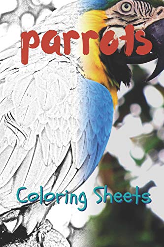 Parrot Coloring Sheets: 30 parrot drawings,coloring sheets adults relaxation, coloring book for kids, for girls, volume 13