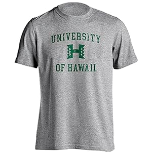 Sport Your Gear University of Hawaii Rainbow Warriors Distressed Retro Logo T-Shirt Athletic Heather XL