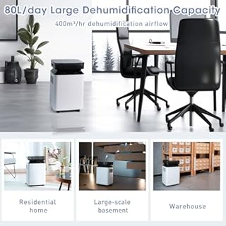 Katenpo Deumidificatore Industriale Professionale Elettrico: 80L/24h per Grandi Ambienti 170㎡Pompa Scarico Continuo Antimuffa Portatile con Ruote per Casa/Bagno/Ufficio/Garage/Cantina/Stanza/Armadio