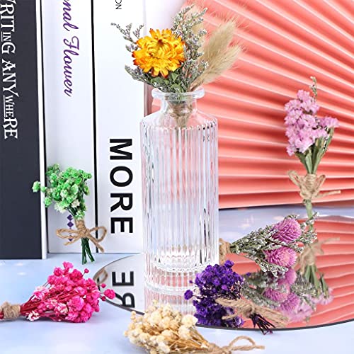 8 Pcs Mini Gypsophila Bouquets Dried Flower Daisy Bundles Dry Flower&Leaves Natural Lagurus Dried Embossing Flower Plant Stem Bunch for DIY Craft,Card Decoration,Photo Props,Home Party&Wedding Decor - Thumbnail 6