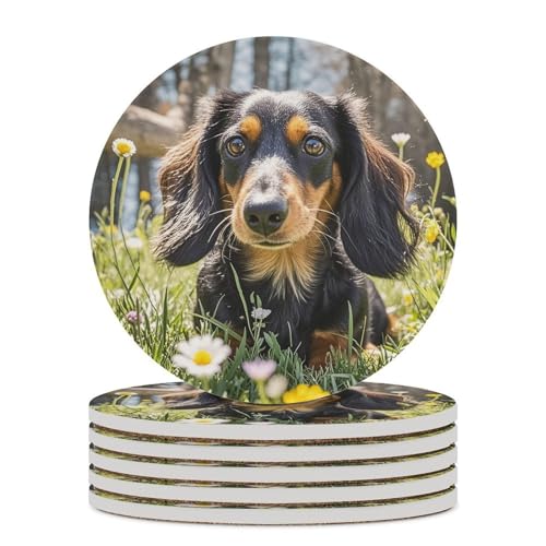 Dessous de verre teckel céramique résistant chaleur - Set de 6 pour table et boissons