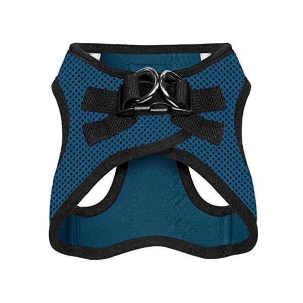 Voyager Step-in Air Dog Harness – All Weather Mesh Step in Vest Harness for Small and Medium Dogs by Best Pet Supplies – Harness (Blue/Black Trim), Large Voyager Step-in Air Dog Harness – All Weather Mesh Step in Vest Harness for Small and Medium Dogs by Best Pet Supplies – Harness (Blue/Black Trim), Large