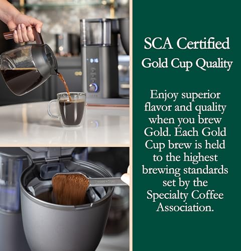 Café Specialty Drip Coffee Maker