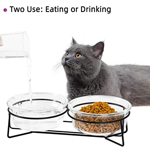 Double Glass Raised Cat or Small Dog Bowls with Metal Stand for Pet Food and Water Dishes , 20 Ounces Double Glass Raised Cat or Small Dog Bowls with Metal Stand for Pet Food and Water Dishes , 20 Ounces