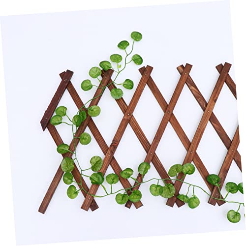 Support mural pour plantes grimpantes rigide pour tuteurer vos fleurs - 7