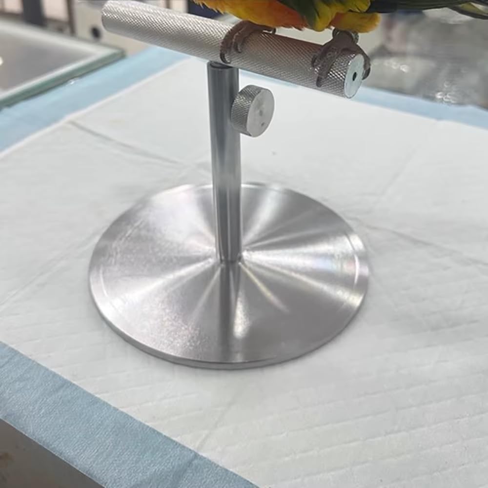Soporte de Escritorio para Loros, Percha de Entrenamiento Totalmente Metálica para Aves