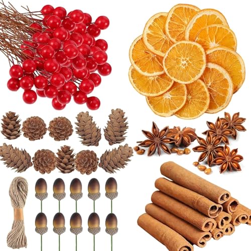 LATERN 225 Piezas Decoraciones para Coronas Navideñas, 20 Rodajas de Naranja, 20 Palos de Canela, 10 Piñas, 10 Anís Estrellado, 10 Bellotas, 155 Frutos Rojos - para Navideñas Fiestas Decoración