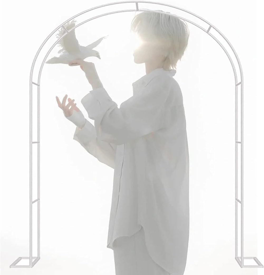 Metal Garden Arbors Wedding Arch Wide 120Cm 140Cm 180Cm 240Cm 350Cm 300Cm Plants Stand Ues for Outdoor Garden Arbor Climbing Plants Wedding Arches Ceremony,Black,White,W3M*H2.2M