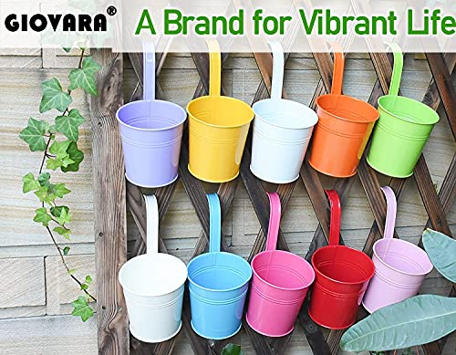 GIOVARA Bloempotten om op te hangen, bloempot van metaal voor planten, 10 stuks kleurrijke balkon tuinpotten, hangende… - Image 4