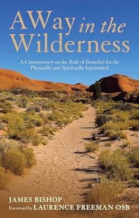A Way in the Wilderness: A Commentary on the Rule of Benedict For The Physically And Spiritually Imprisoned-Wow! eBook