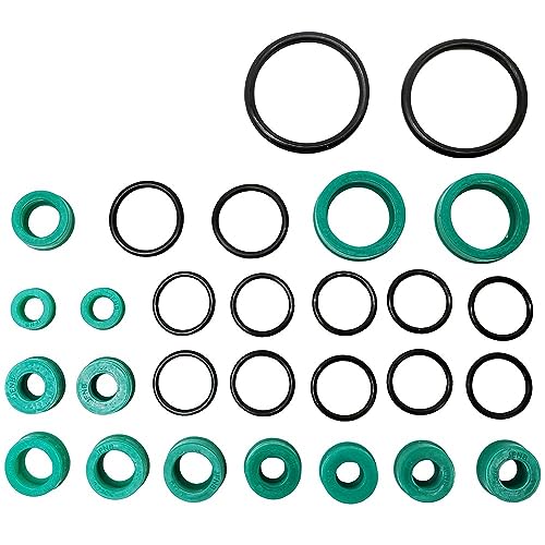 Hydraulic Cylinder Seal Rebuild Kit Compatible With B SL R129 Models 1990 To 2002