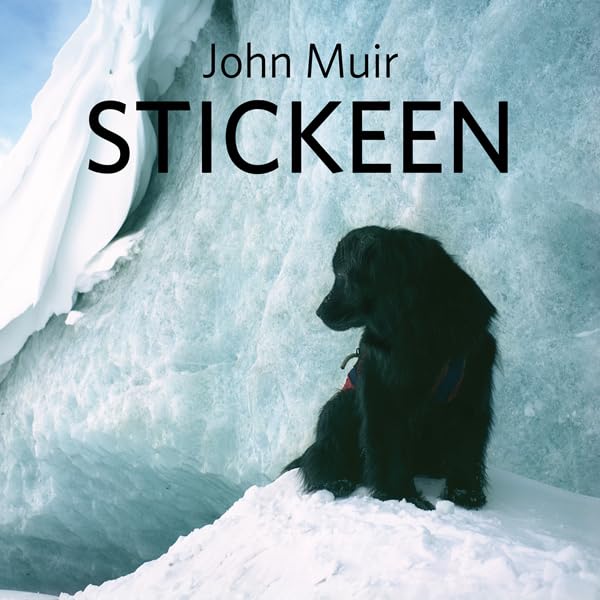 Cover art for Stickeen