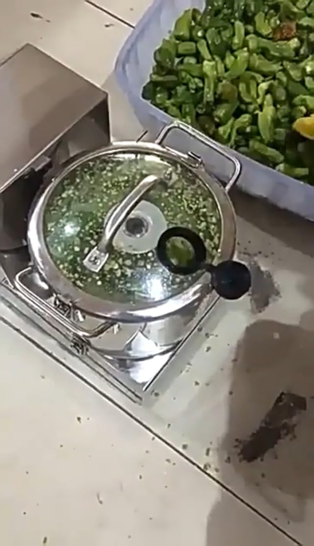 Procesador de alimentos multifuncional con cuchillas extraíbles para patatas, cebolla, jengibre, repollo para cocinas y restaurantes, 9 L