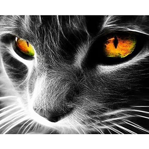Point de croix diamant 5D chat noir et blanc toile strass 30x40