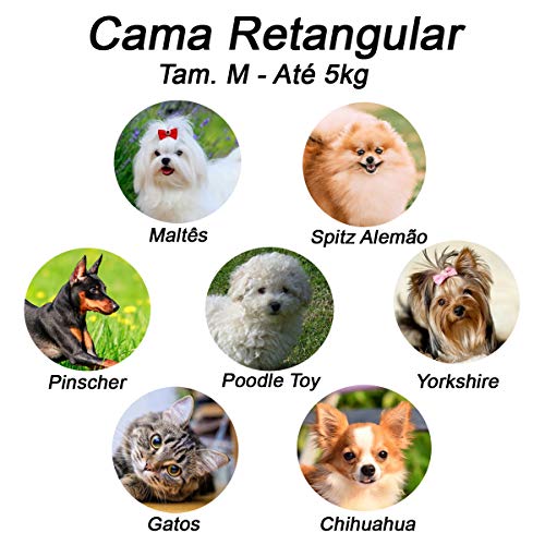 Cama com Colchão Removivel para Cachorro ou Gato Luppet até 5Kg Azul Patinhas M