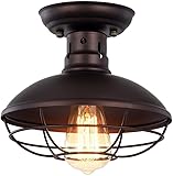 Genérico Lámpara de techo cúpula industrial Jaula alambre Accesorio iluminación colgante semiempotrado Retro cerca la lámpara, del pasillo Lámparas E27, Lámpara colgante