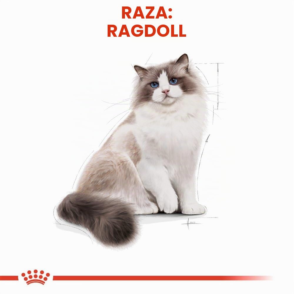 Royal Canin Ragdoll Adult Dry Cat Food 10 kg